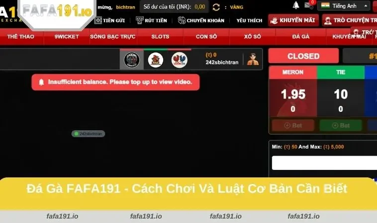 Đá Gà FAFA191 2 Trải nghiệm giao dịch nhanh chóng và an toàn tuyệt đối tại FAFA191